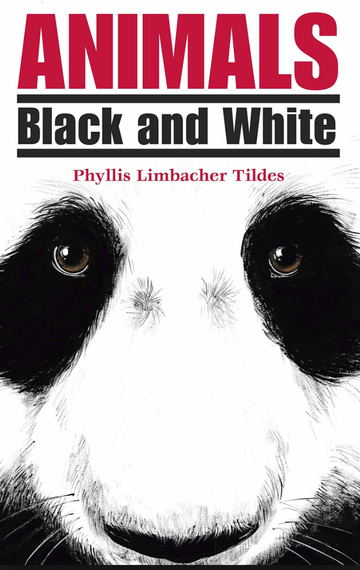 Adding Descriptions to Student's Writing