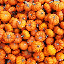 Spooky Reading & Writing Activities