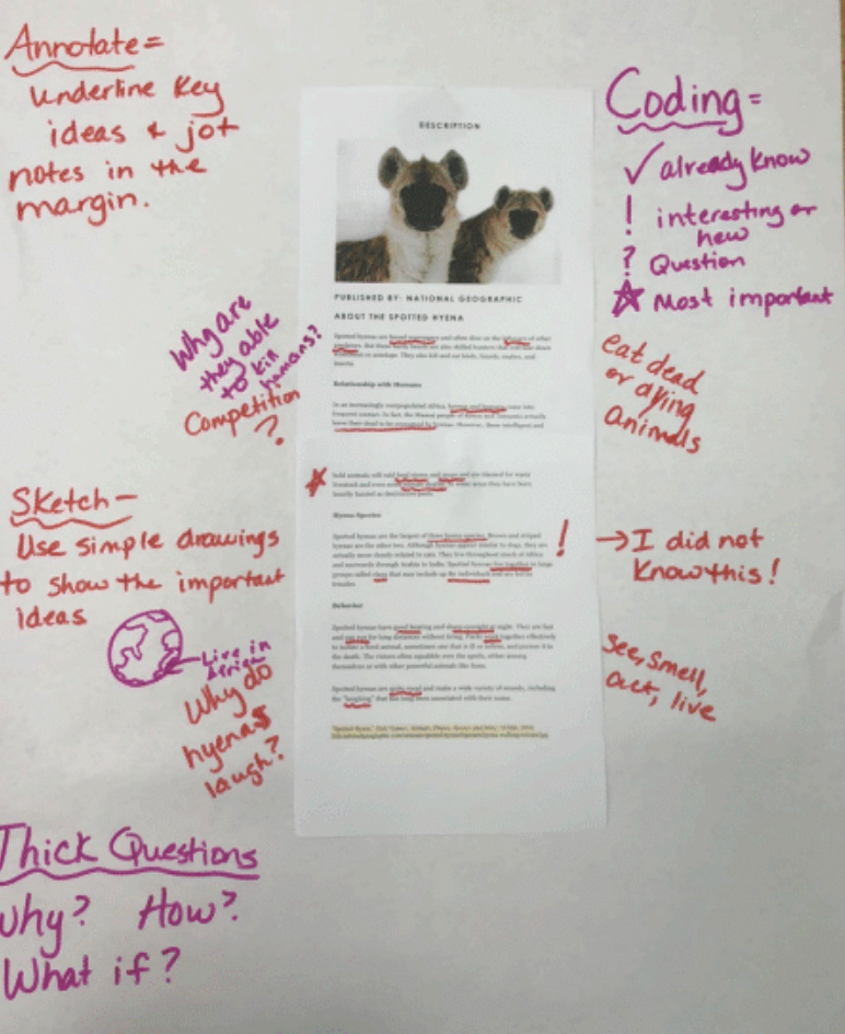 Using Passages to Get Kids Thinking